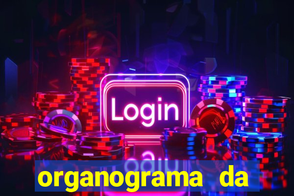 organograma da cacau show